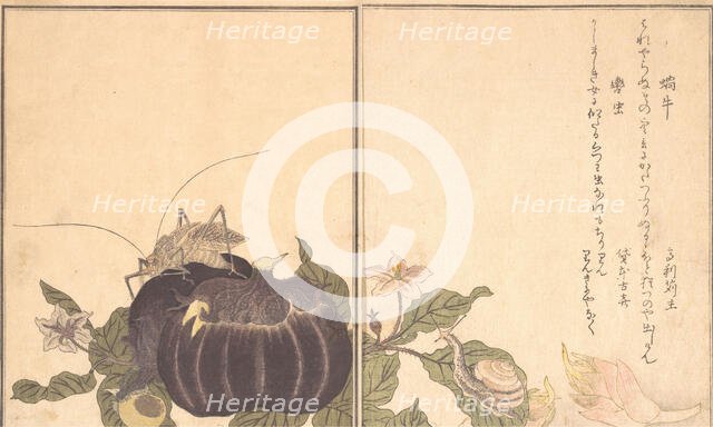 Land Snail (Katatsumuri); Giant Katydid (Kutsuwamushi) ..., 1788. Creator: Kitagawa Utamaro.