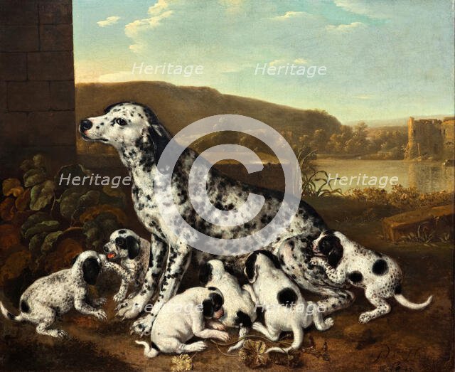 Dalmatian dog with puppies, c1700-17120. Creator: Pieter van der Hulst.