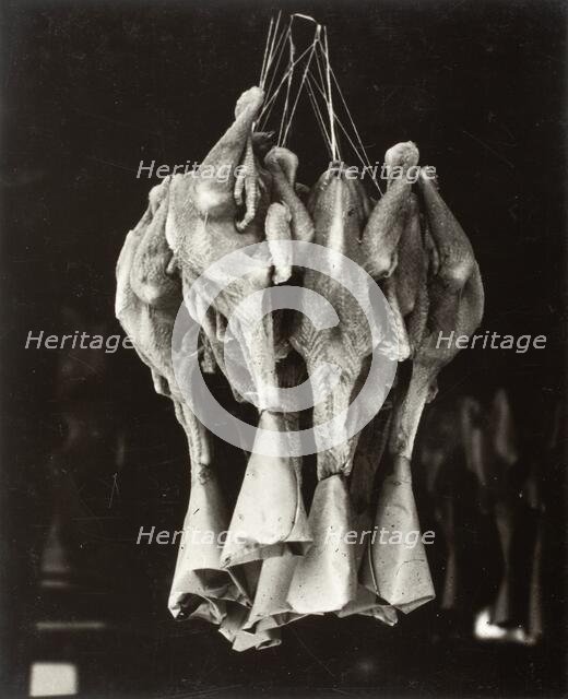 Ducks, Chinatown, Printed 1936. Creator: Lewis Wickes Hine.