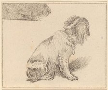 Seated Dog, 1777. Creator: Cornelis Brouwer.
