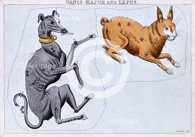 Constellations of Canis Major and Lepus, c1820. Artist: Sidney Hall