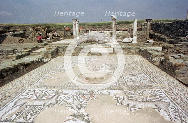 Mosaic, ruins of the Roman town of Stobi, Gradsko, Macedonia.