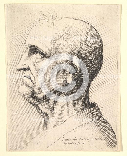 Head of an old man with tufts of curly hair around ear in profile to left, 1644-52. Creator: Wenceslaus Hollar.
