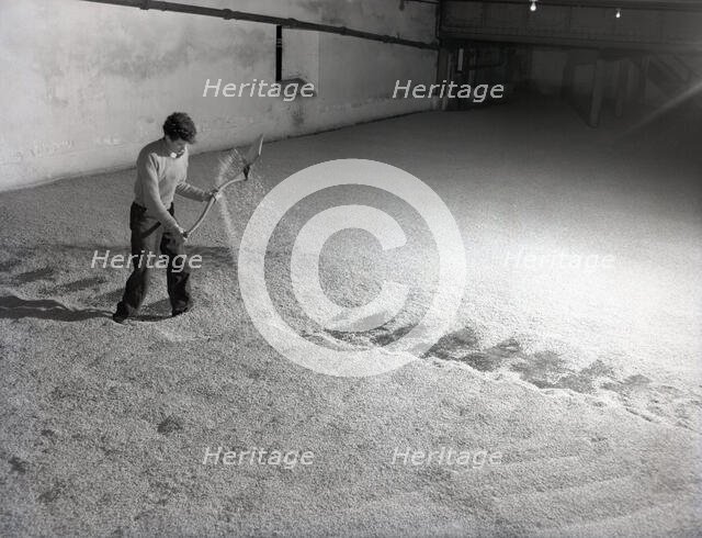 Glenlivet Distillery, Scotland, c1955. Creator: Arthur Charles Kirby Ware.