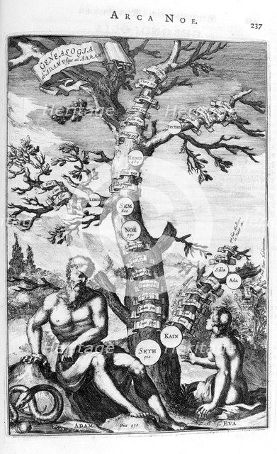 Genealogy tree of Adam, 1675.  Artist: Athanasius Kircher
