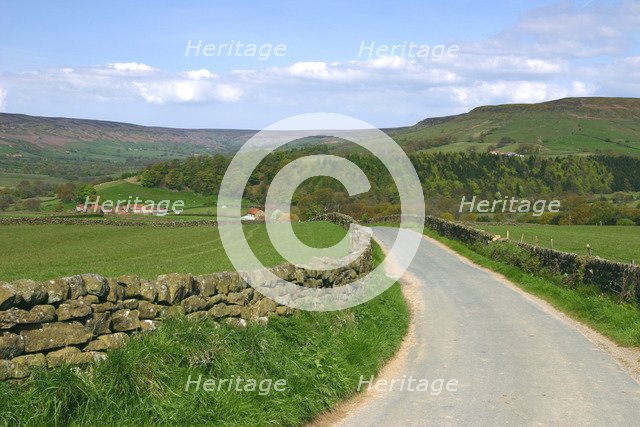 Road in Farndale, North York Moors, North Yorkshire