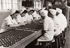 Decorating chocolates by hand, Rowntree factory, York, Yorkshire, 1956. Artist: Unknown
