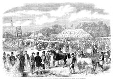 The Northamptonshire Agricultural Society's show in Burghley Park, near Stamford, 1862. Creator: Unknown.
