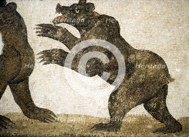 Bears Fighting, detail of Roman floor mosaic, from Utica, Tunisia, c3rd century.  Artist: Unknown.