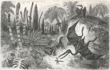 'Imaginary Landscape during the Secondary Epoch, with Pterodactyls, Lias Period', 1865.  Creator: Unknown.