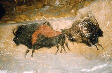 Paleolithic cave-painting of Bison from Lascaux, France. c50,000-c10,000 BC.  Artist: Unknown.