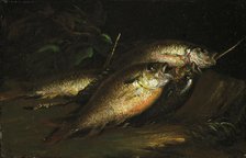 Fish, 1842. Creator: Shepard Alonzo Mount.