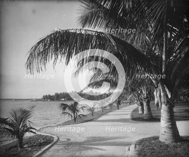 Palm Beach, c1894. Creator: William H. Jackson.