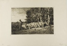 Flock of Sheep at the Edge of a Wood, 1877. Creator: Charles Emile Jacque.