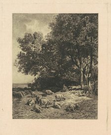 Landscape with Sheep, 1879. Creator: James David Smillie.
