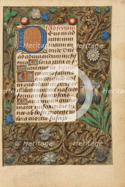 Decorated Initial D; Crohin-La Fontaine Hours, about 1480-1485 ?. Creator: Unknown.