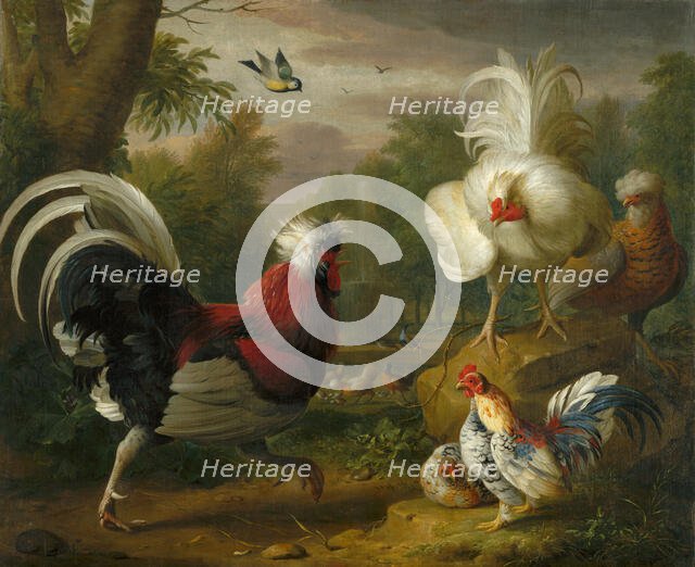 The Cockrel's Fight, 1700-1720. Creator: Jakub Bogdan.