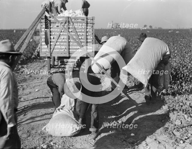 Cotton pickers bringing in their "pick" to be weighed, San Joaquin Valley, California, 1936. Creator: Dorothea Lange.