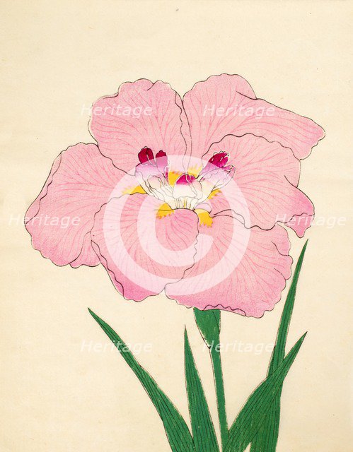 Gofukushoshu, No. 86, 1890, (colour woodblock print)