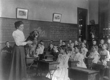 Classroom scenes in Washington, D.C. public schools: studying live dog, 5th Division, (1899?). Creator: Frances Benjamin Johnston.