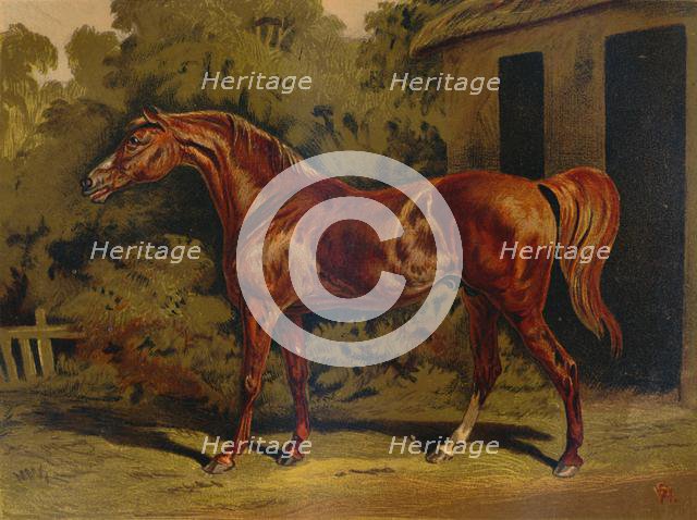 'Eclipse', c1879. Creator: Unknown.