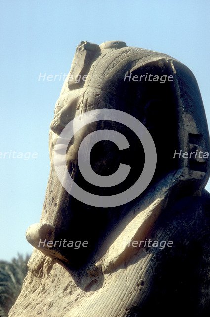 Head of Alabaster Sphinx, Memphis, Egypt, 18th or 19th Dynasty, c14th - 13th century BC. Artist: Unknown