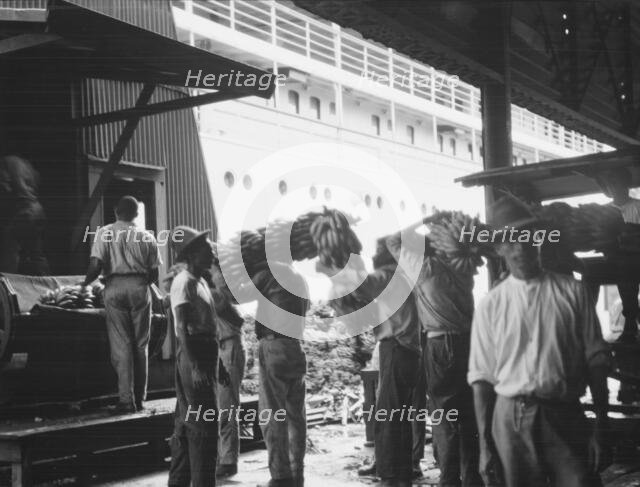 Unloading bananas, New Orleans, between 1920 and 1926. Creator: Arnold Genthe.