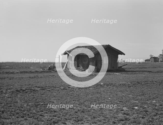 On the plains west of Fresno, California, 1939. Creator: Dorothea Lange.