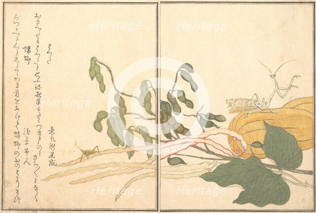 Cone-headed Grasshopper or Locust, (batta); Praying Mantis (Toro or Kamakiri)..., 1788. Creator: Kitagawa Utamaro.