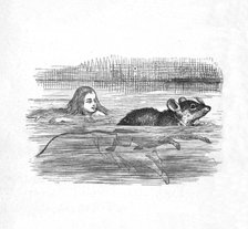 'Alice swimming with a mouse in a pool', 1889. Artist: John Tenniel.