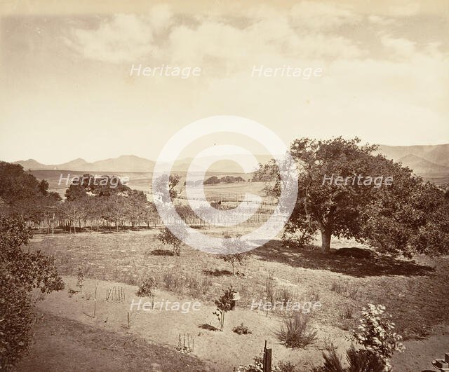 Steel's Ranch, San Luis Obispo, 1876, printed ca. 1876. Creator: Carleton Emmons Watkins.