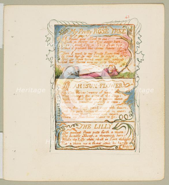 Songs of Innocence and of Experience: My Pretty Rose Tree, Ah! Sun-Flower, The Lily, ca. 1825. Creator: William Blake.