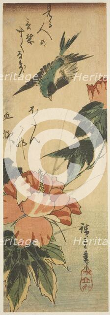 Swallow and hibiscus, c. 1830s. Creator: Ando Hiroshige.