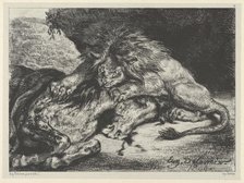 Lion Devouring a Horse, 1844., 1844. Creator: Eugene Delacroix.