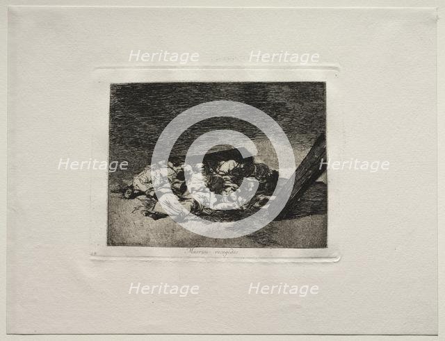 The Horrors of War: Harvest of the Dead. Creator: Francisco de Goya (Spanish, 1746-1828).