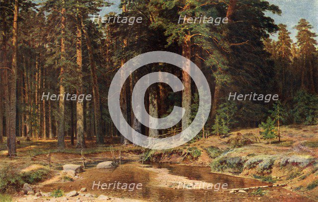 'A Pine Grove', 1898, (1939). Creator: Ivan Shishkin.