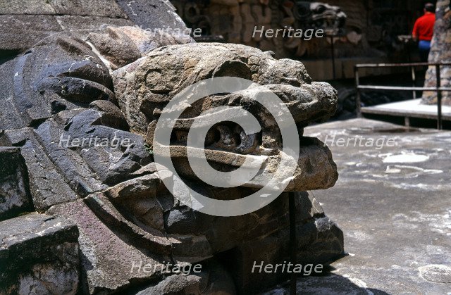 Teotihuacan, Temple of Quetzalcoatl, sculpture of the head of a snake emerging from a kind of ruf…