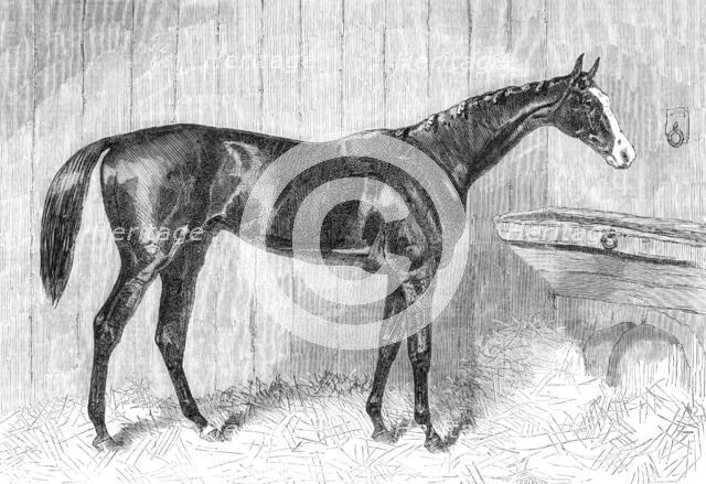 Blair Athol, the Winner of the Derby, 1864. Creator: Unknown.