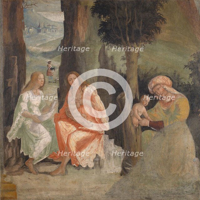 Birth of Adonis, c1517-1518. Creator: Ferramola, Floriano (Fioravante) (c. 1478-1528).