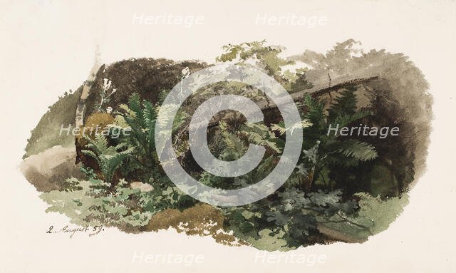 Spruce fallen on ferns; Cow (two-sided work), 1859. Creator: Werner Holmberg.