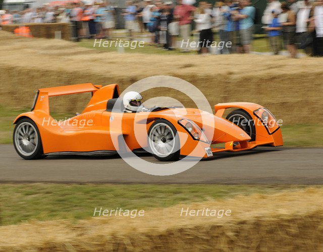 2009 Caparo T1 at 2009 Goodwood Festival of speed Artist: Unknown.