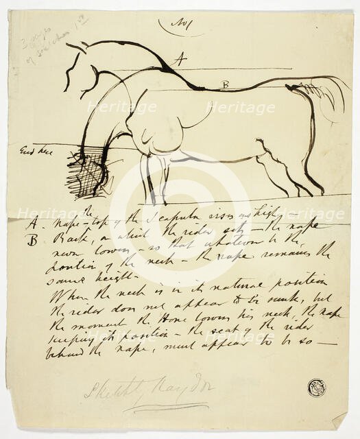 Sketch of Horse with Notations, n.d. Creator: Benjamin Robert Haydon.