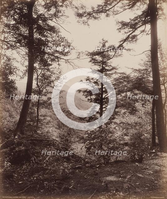 Cliff View, Through the Trees, c. 1895. Creator: William H Rau.