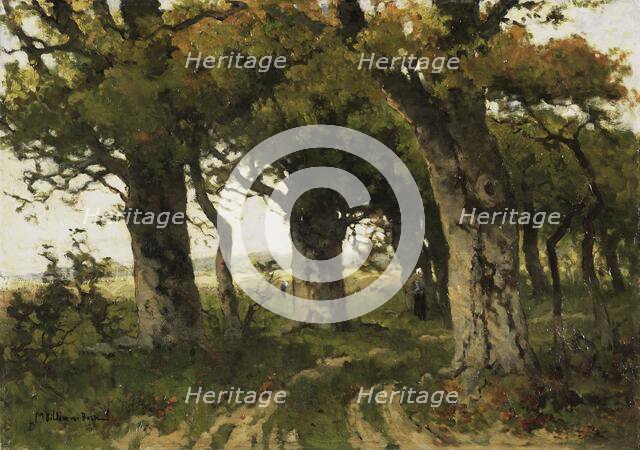 Avenue of Oaks in Late Summer, 1880-1900. Creator: Marie Bilders-van Bosse.