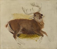 Dying Stag, ca. 1830. Creator: Edwin Henry Landseer.