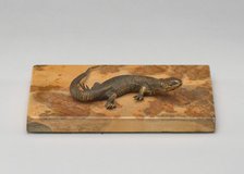 Life Cast of a Lizard, probably 19th century. Creator: Unknown.