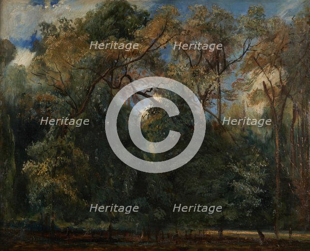 Les ormes de Saint-Cloud, 1823. Creator: Paul Huet.