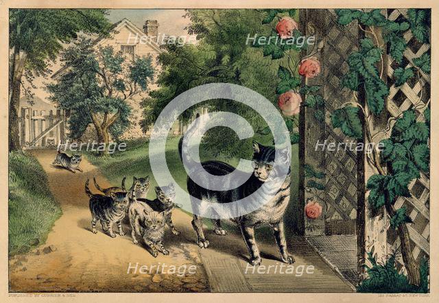 Pussy's Return, 1874-78., 1874-78. Creators: Nathaniel Currier, James Merritt Ives, Currier and Ives.