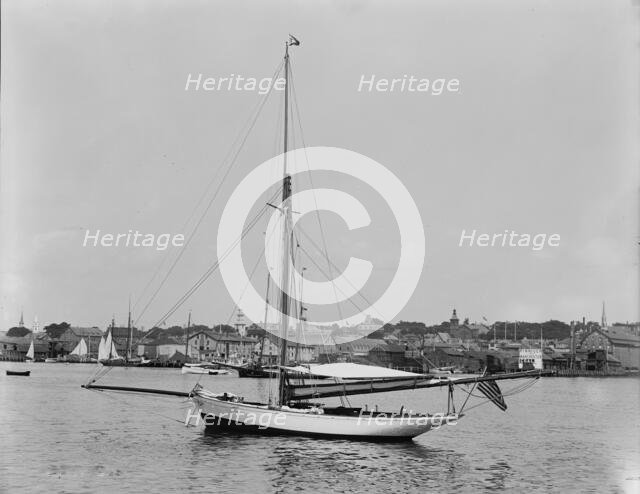 Tomboy, between 1880 and 1899. Creator: Unknown.