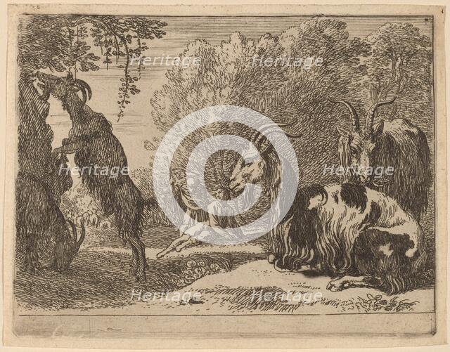 Goats. Creator: Herman van Swanevelt.